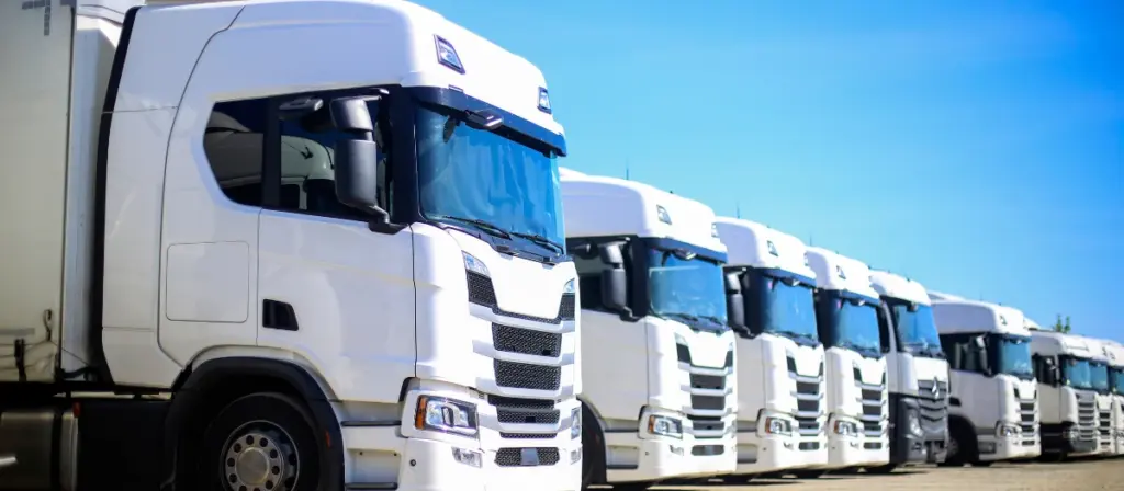 Growing transport business
